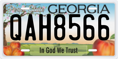 GA license plate QAH8566