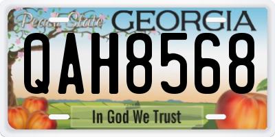 GA license plate QAH8568