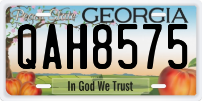 GA license plate QAH8575