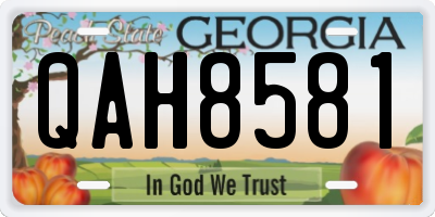 GA license plate QAH8581
