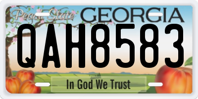 GA license plate QAH8583