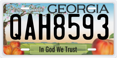 GA license plate QAH8593