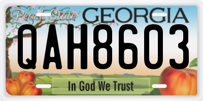 GA license plate QAH8603