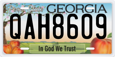 GA license plate QAH8609