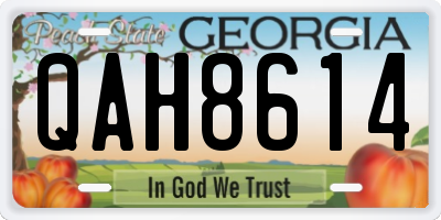 GA license plate QAH8614