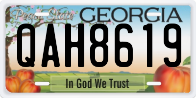 GA license plate QAH8619