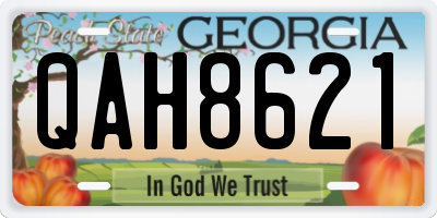 GA license plate QAH8621