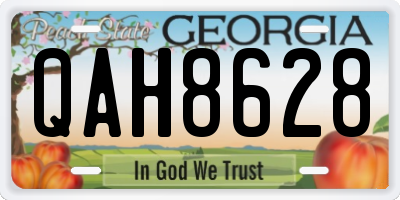 GA license plate QAH8628
