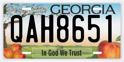 GA license plate QAH8651