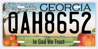 GA license plate QAH8652