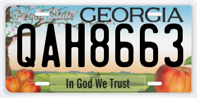 GA license plate QAH8663