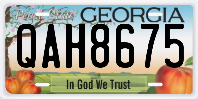 GA license plate QAH8675