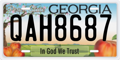 GA license plate QAH8687