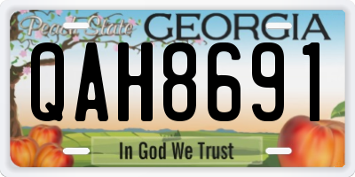 GA license plate QAH8691
