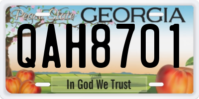 GA license plate QAH8701