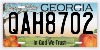 GA license plate QAH8702