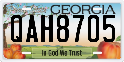 GA license plate QAH8705