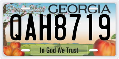 GA license plate QAH8719
