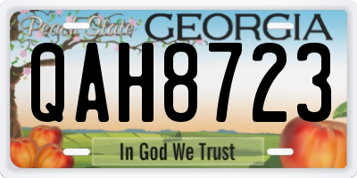 GA license plate QAH8723
