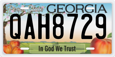GA license plate QAH8729