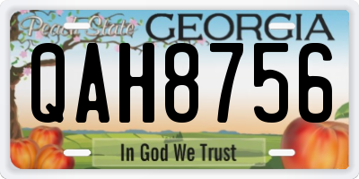 GA license plate QAH8756