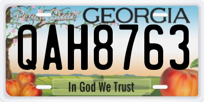 GA license plate QAH8763