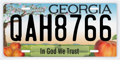 GA license plate QAH8766
