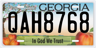 GA license plate QAH8768