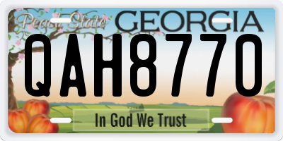 GA license plate QAH8770