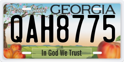 GA license plate QAH8775