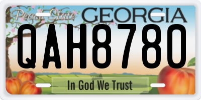 GA license plate QAH8780
