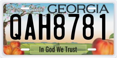 GA license plate QAH8781