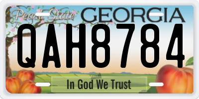 GA license plate QAH8784