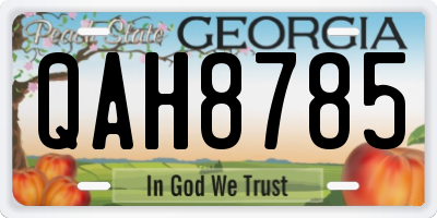 GA license plate QAH8785