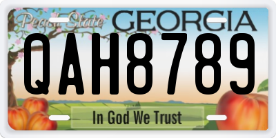GA license plate QAH8789
