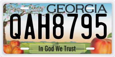 GA license plate QAH8795