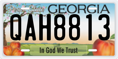 GA license plate QAH8813