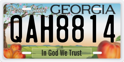 GA license plate QAH8814