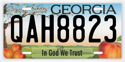 GA license plate QAH8823