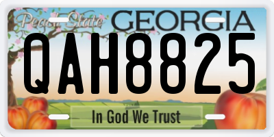 GA license plate QAH8825