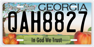GA license plate QAH8827