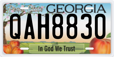 GA license plate QAH8830
