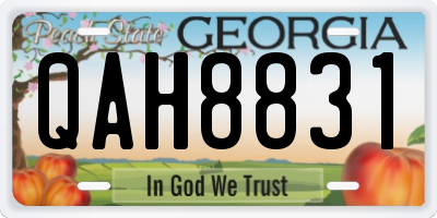GA license plate QAH8831