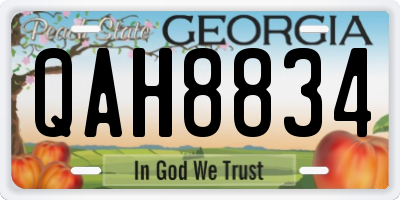 GA license plate QAH8834