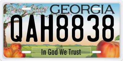 GA license plate QAH8838