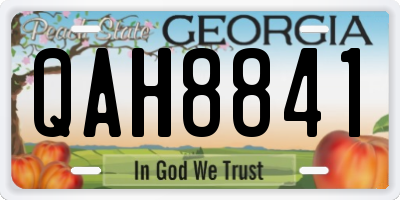 GA license plate QAH8841