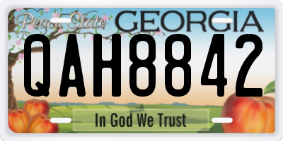 GA license plate QAH8842