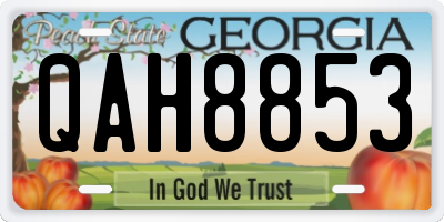 GA license plate QAH8853