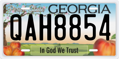 GA license plate QAH8854