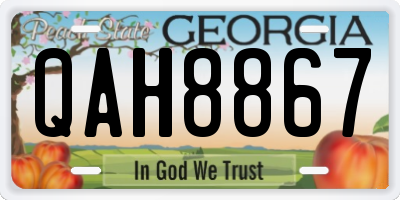GA license plate QAH8867